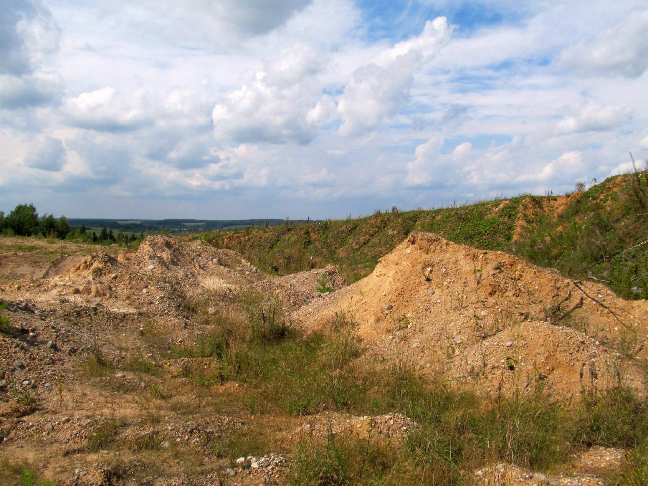 Песчаный карьер "Рутковское", image of landscape/habitat.