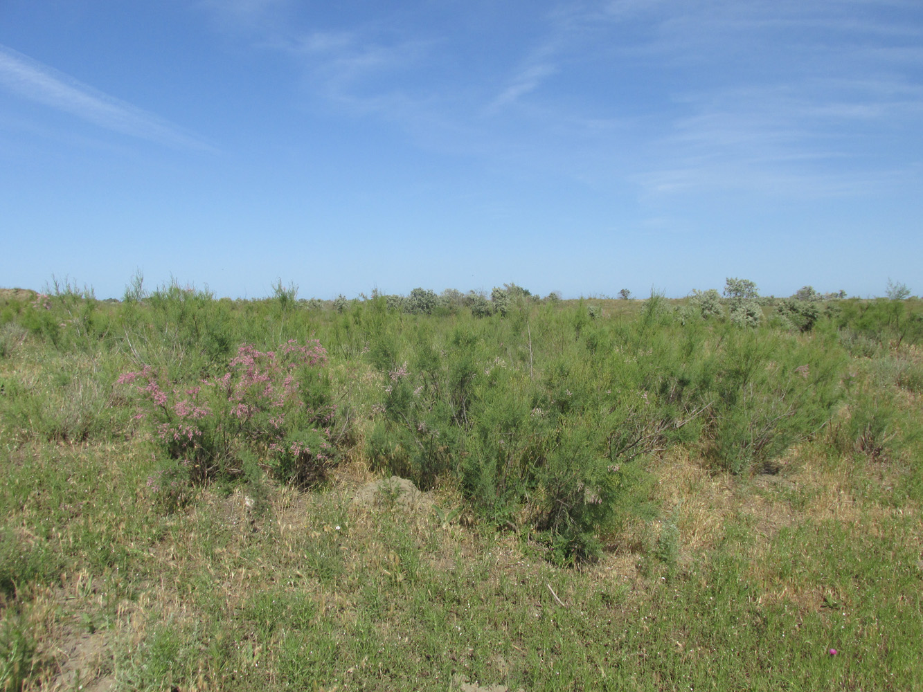 Окрестности посёлка Сулак, image of landscape/habitat.