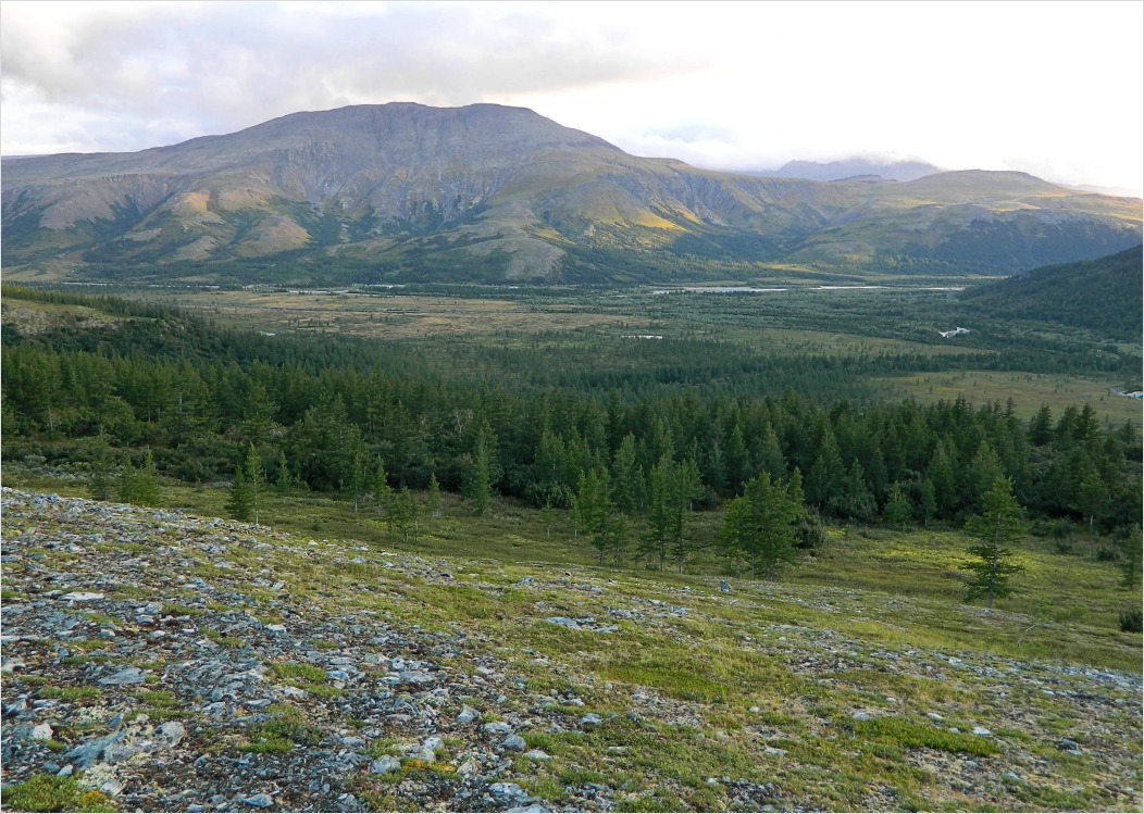 Кемьрезьрузь, image of landscape/habitat.