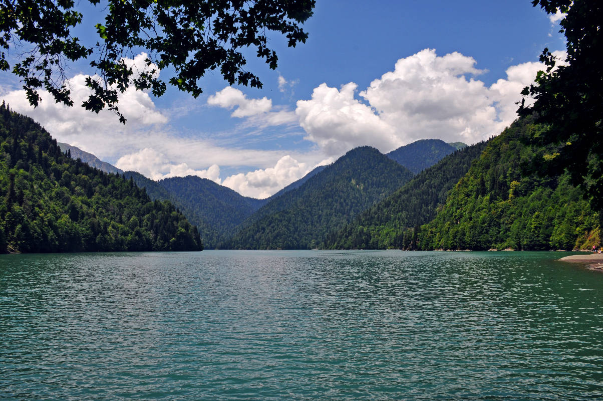 Северный берег озера Рица, image of landscape/habitat.