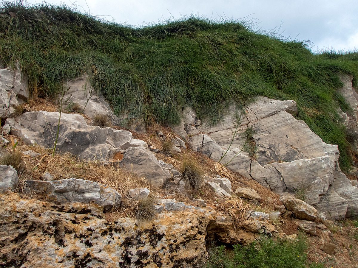 Остров Сирос, image of landscape/habitat.