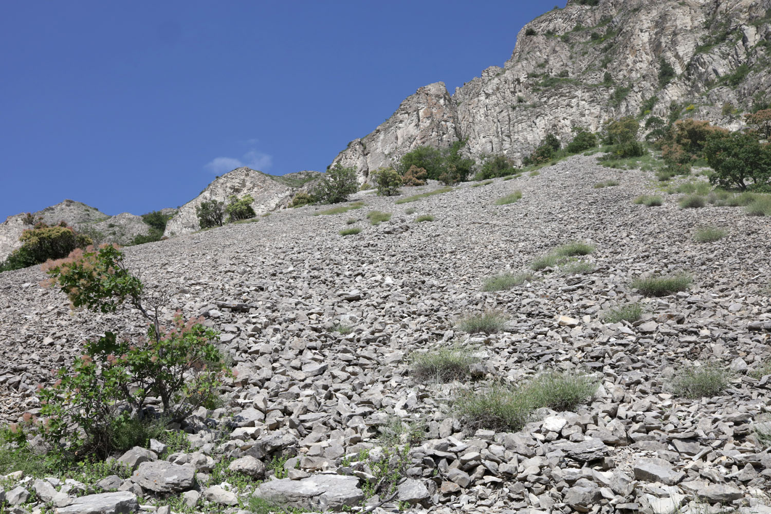 Сулакский каньон, image of landscape/habitat.