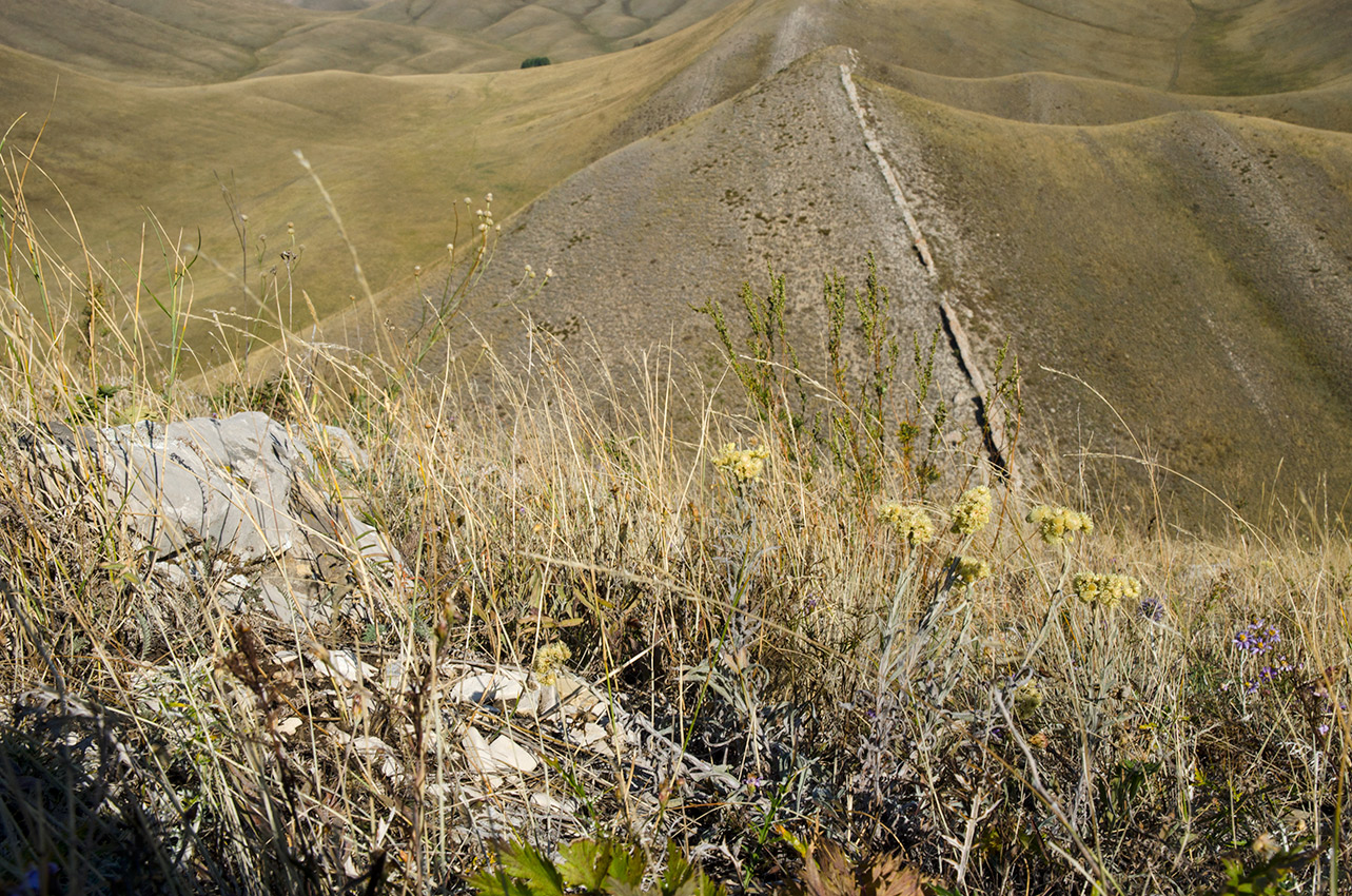 Долгие горы, image of landscape/habitat.