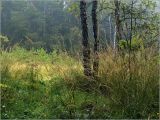 Image of landscape
