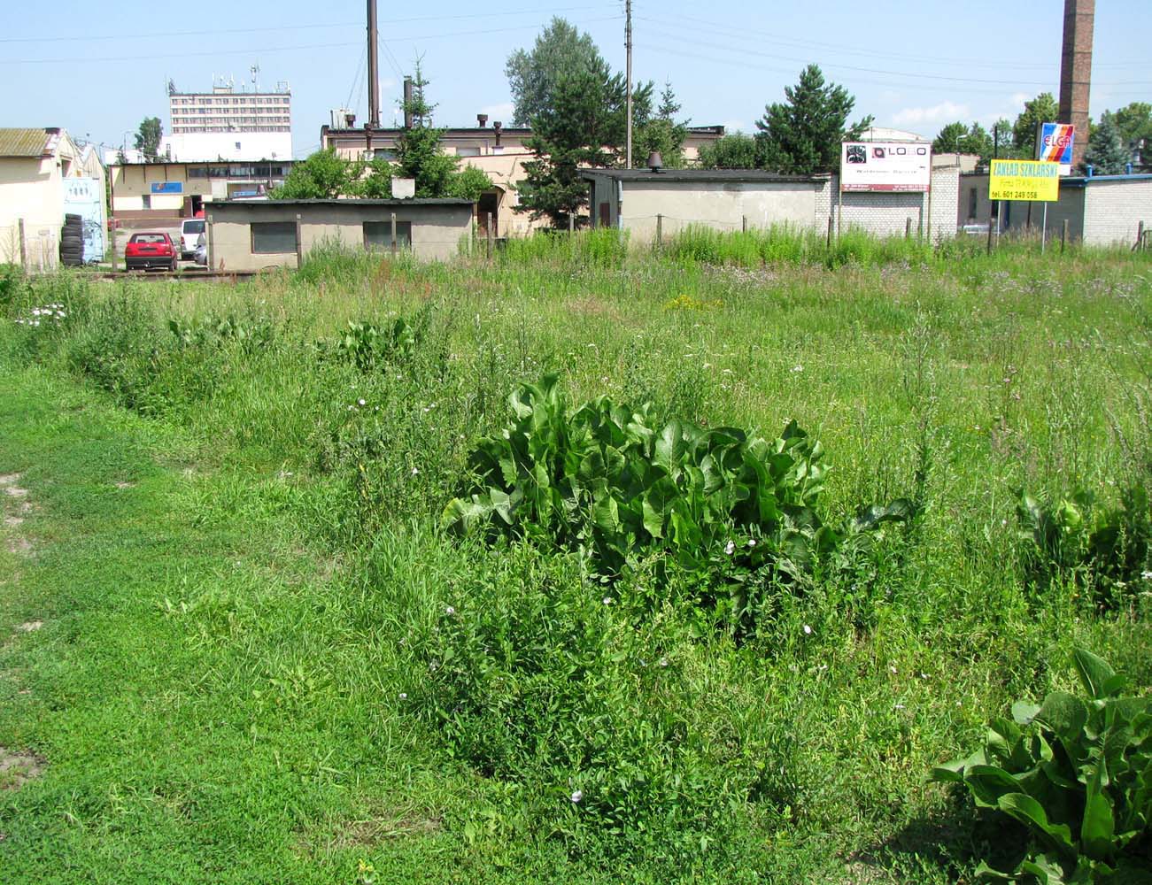 Велюнь, image of landscape/habitat.