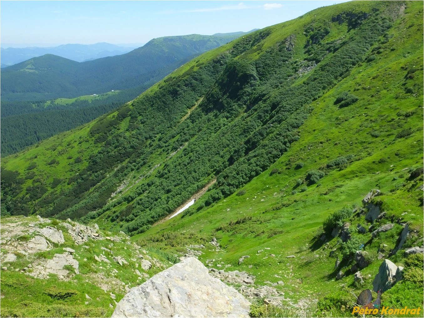 Черногора, image of landscape/habitat.