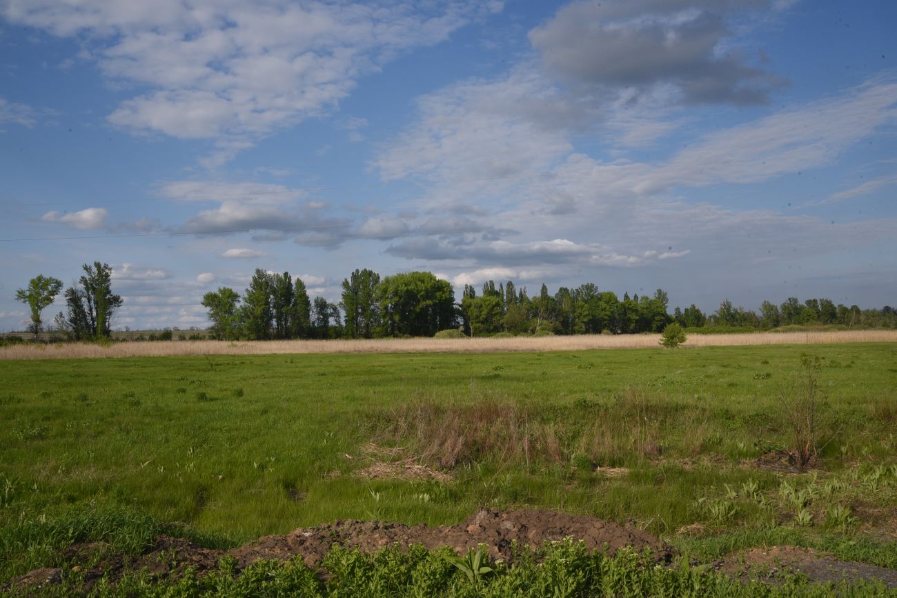 Окрестности села Даниловка, изображение ландшафта.