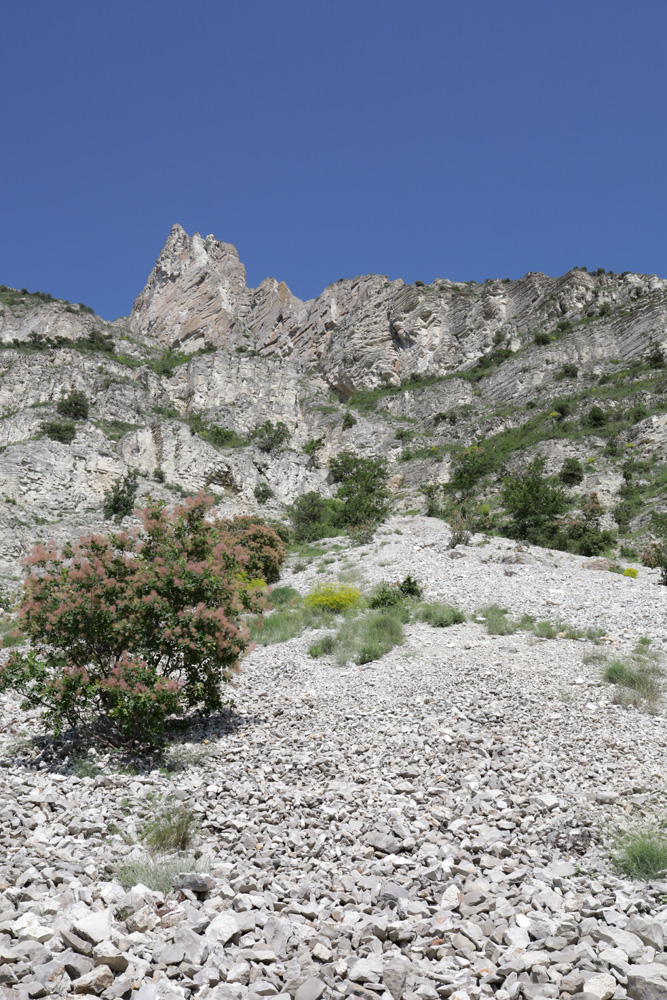 Сулакский каньон, image of landscape/habitat.