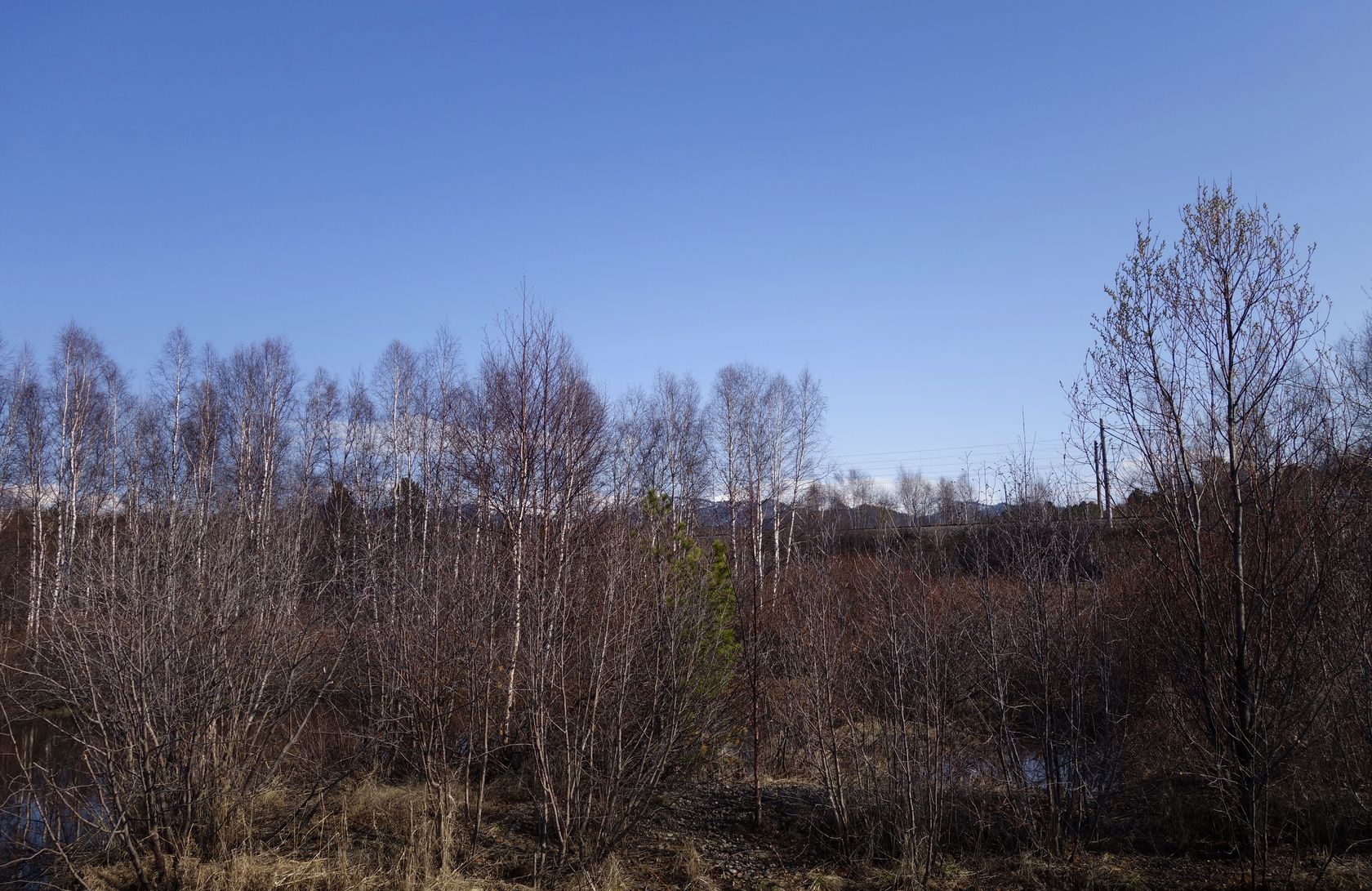 Омулёвый, image of landscape/habitat.