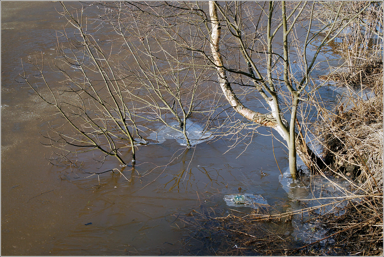 Окрестности Хрипани, image of landscape/habitat.