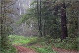 Image of landscape