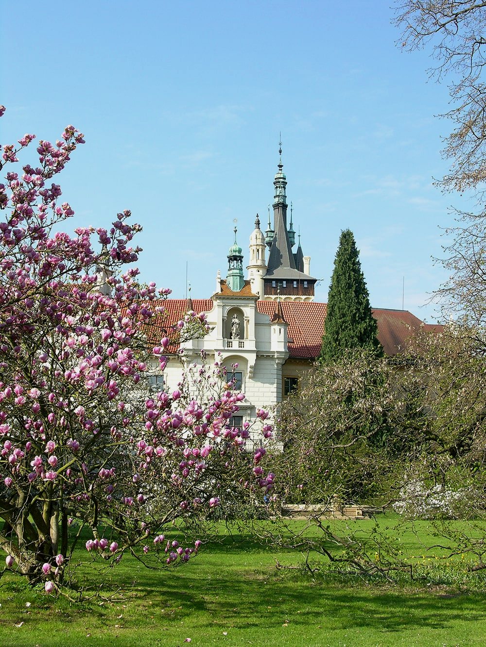 Пругонице, image of landscape/habitat.