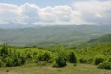 Окрестности деревни Схторашен, image of landscape/habitat.