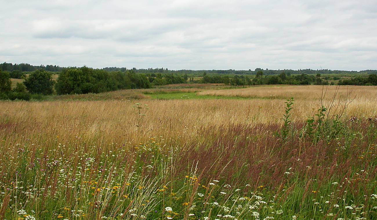 Осыно, image of landscape/habitat.