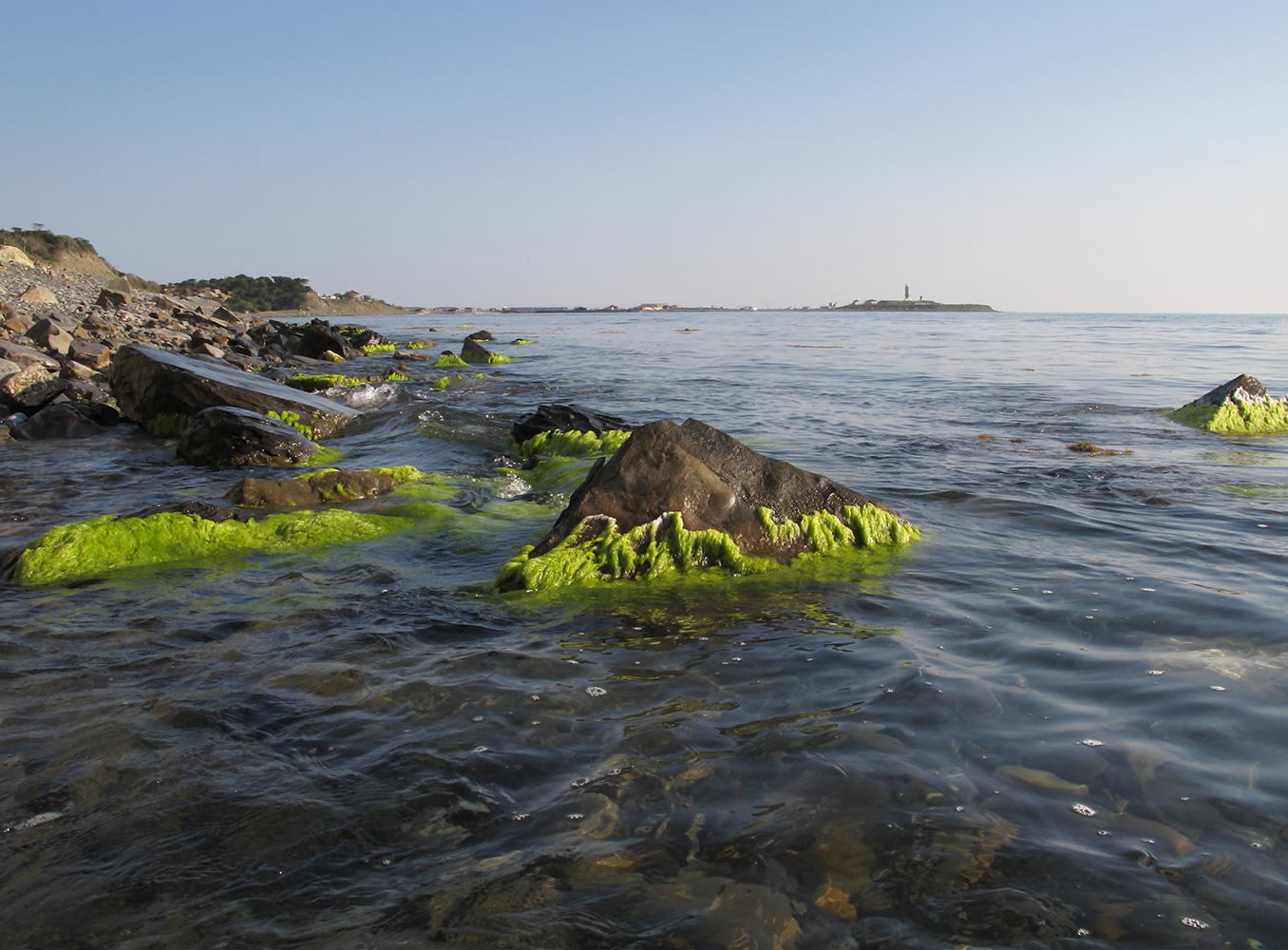 Большой Утриш, гора Солдатская, image of landscape/habitat.