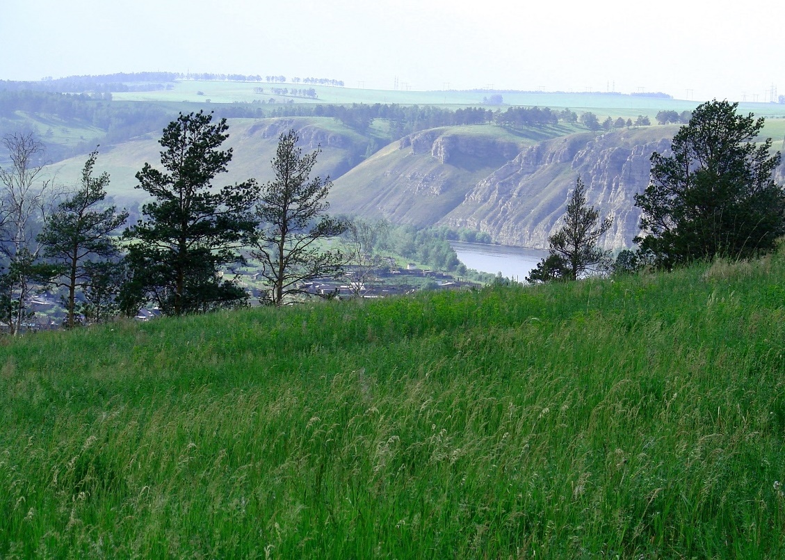 Белая, image of landscape/habitat.