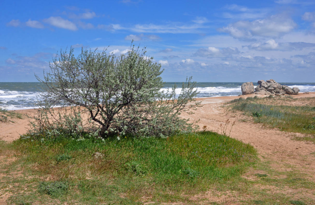 Долина реки Сююрташ, image of landscape/habitat.