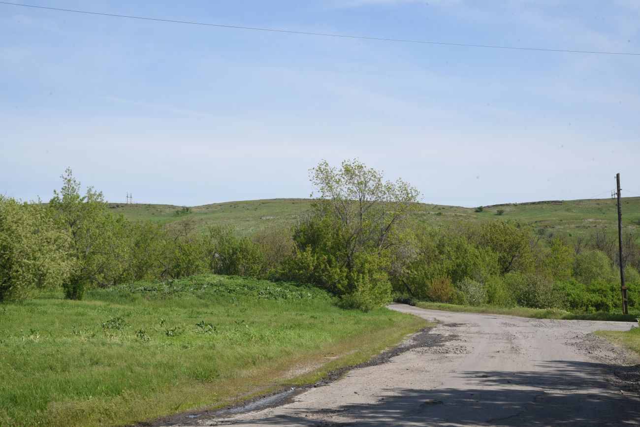 Окрестности села Провалье, image of landscape/habitat.