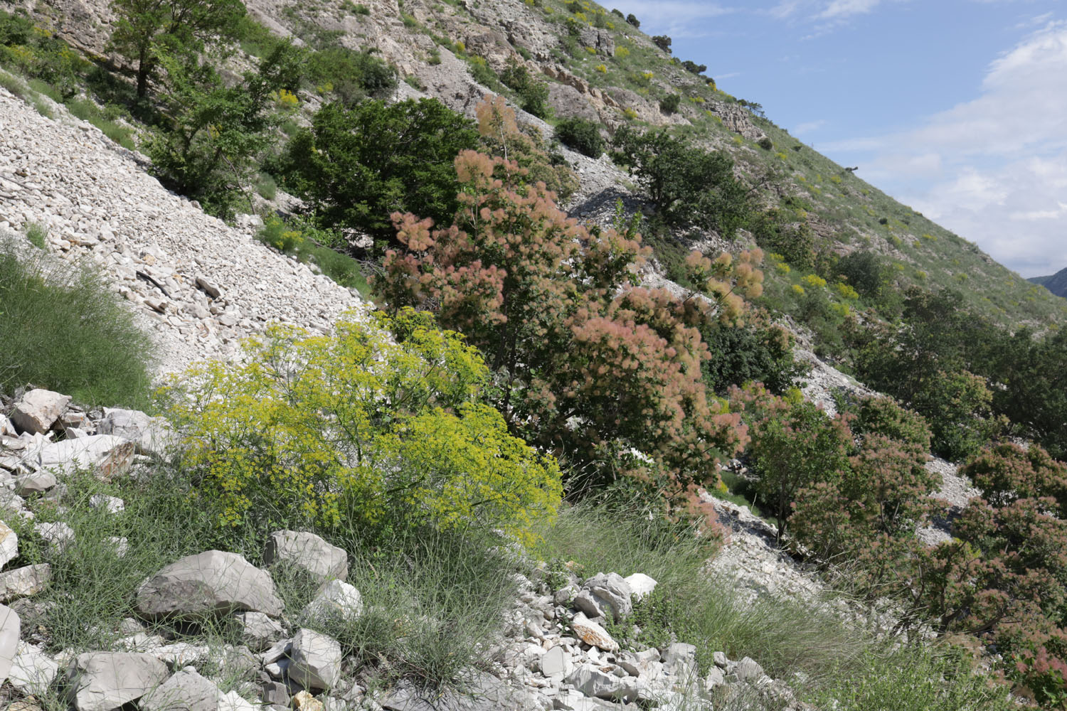 Сулакский каньон, image of landscape/habitat.