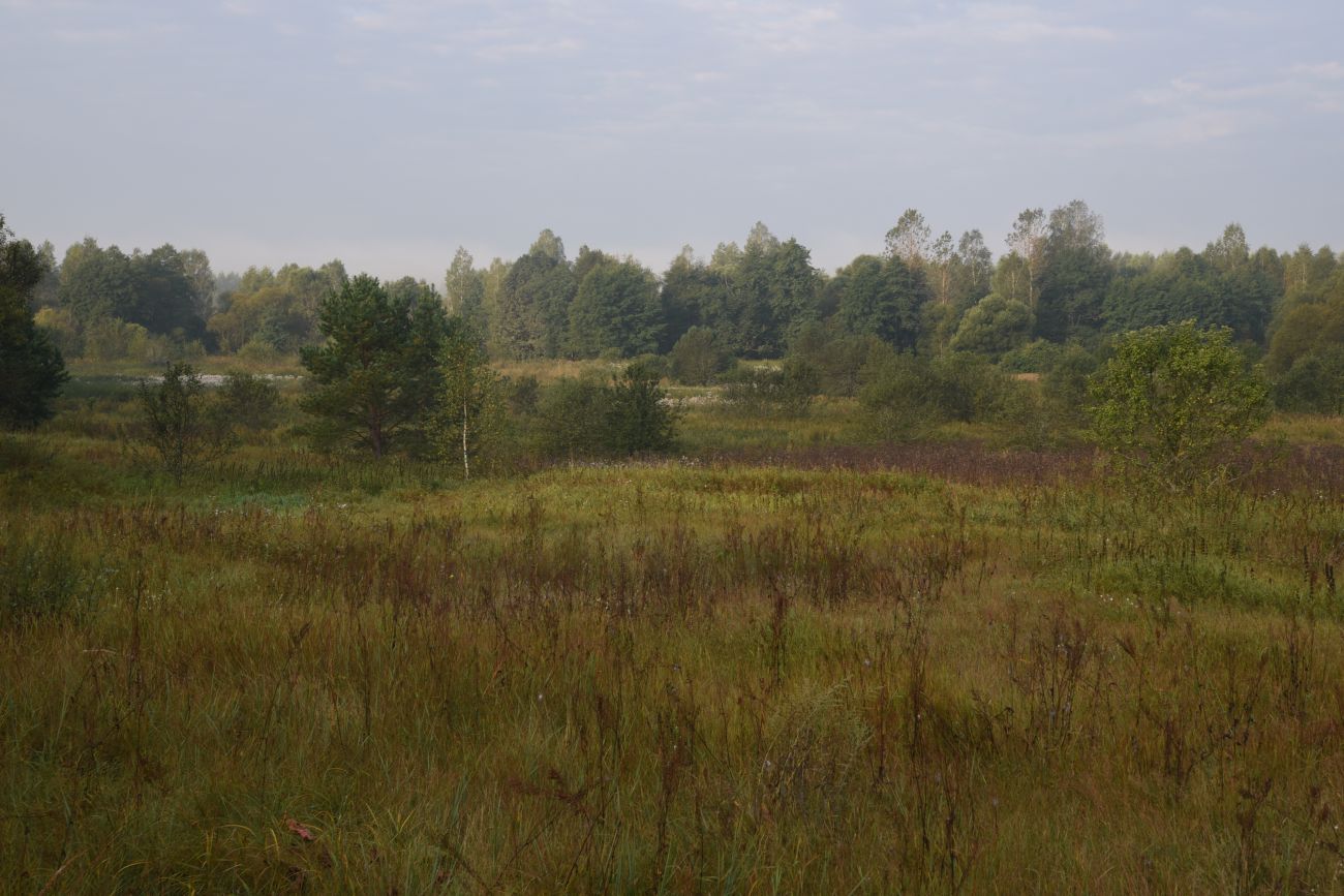 Ягодное, image of landscape/habitat.