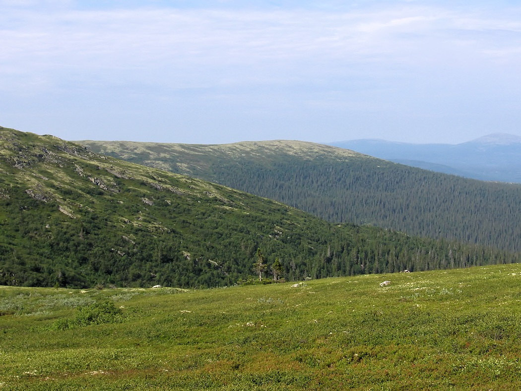 Колвицкие Тундры, image of landscape/habitat.