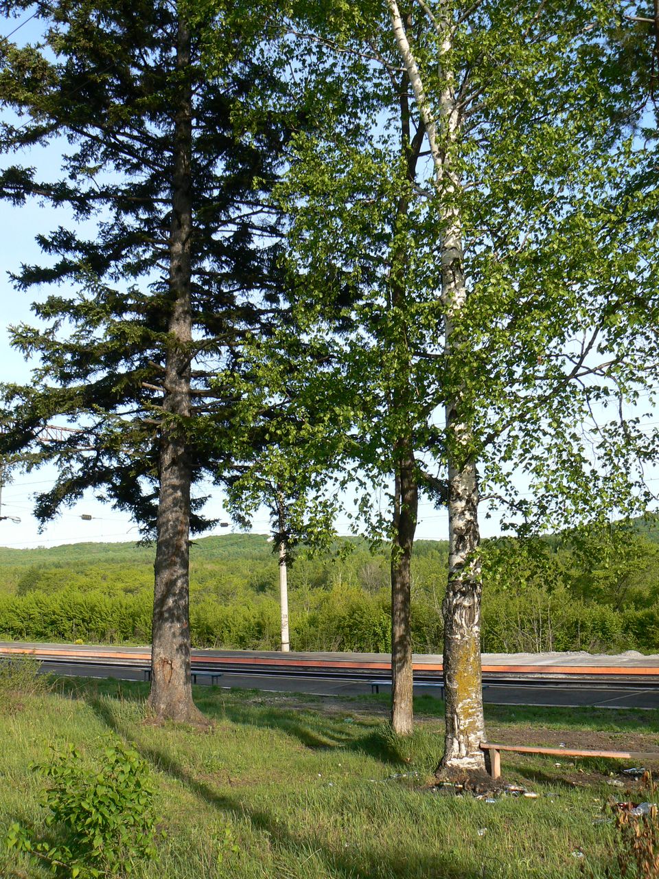 Хехцир, image of landscape/habitat.