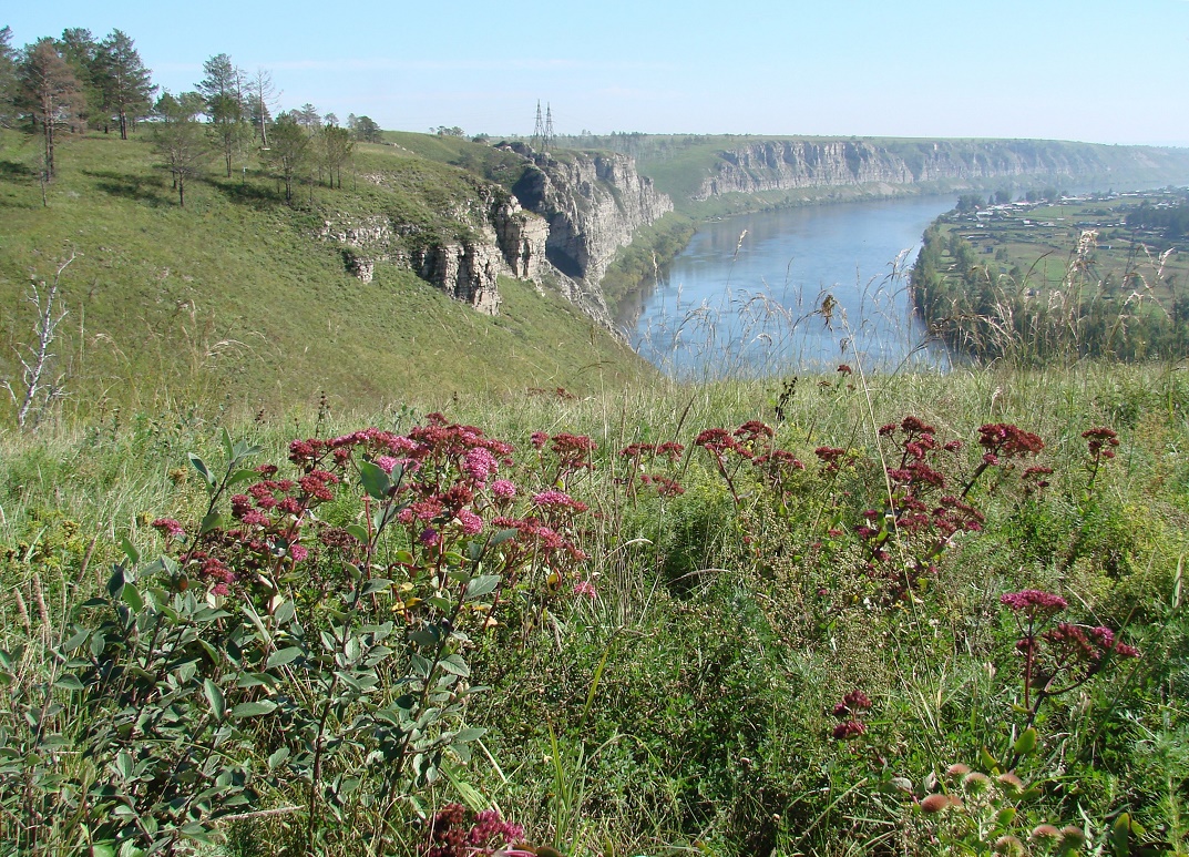 Белая, image of landscape/habitat.