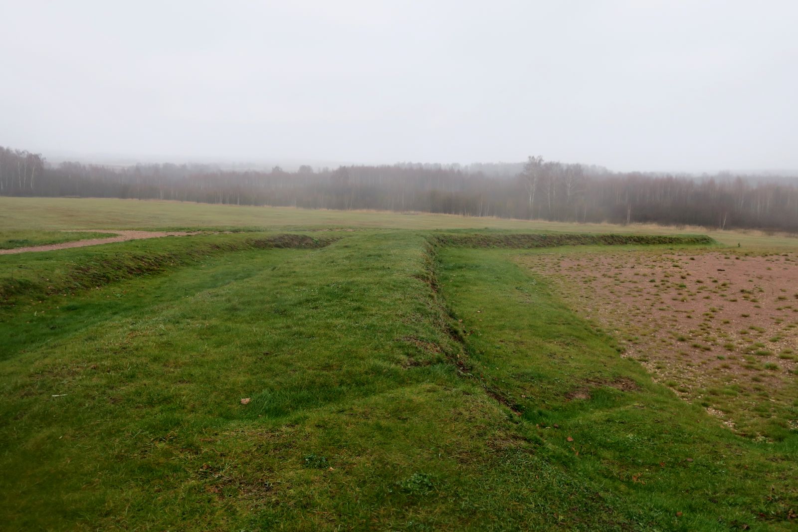 Окрестности деревни Бородино, image of landscape/habitat.