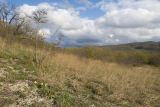 Image of landscape