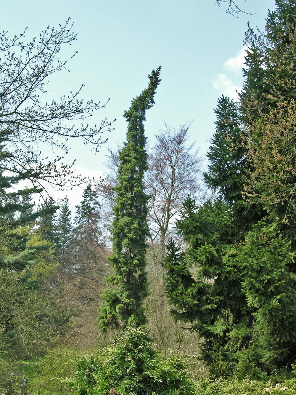 Пругонице, image of landscape/habitat.