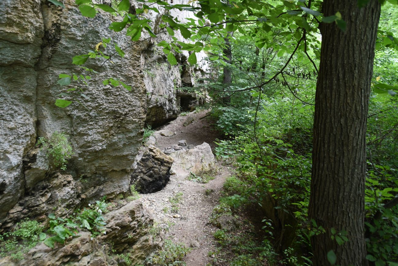 Окрестности скалы Парус, image of landscape/habitat.