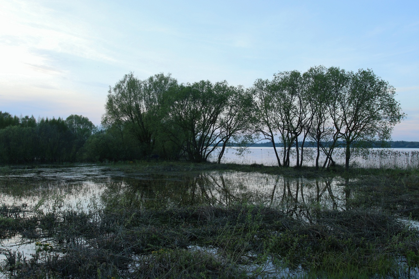 Езерище и окрестности, image of landscape/habitat.