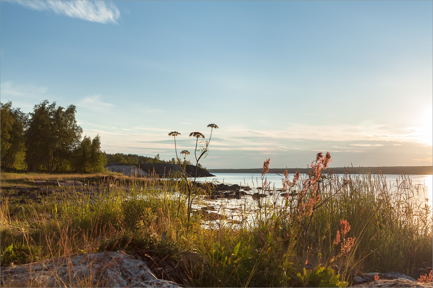 Чкаловский, image of landscape/habitat.