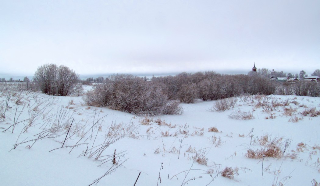 Вологда, image of landscape/habitat.