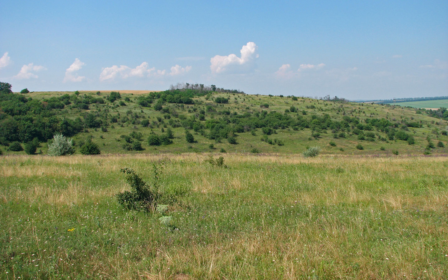 Калиновка, image of landscape/habitat.