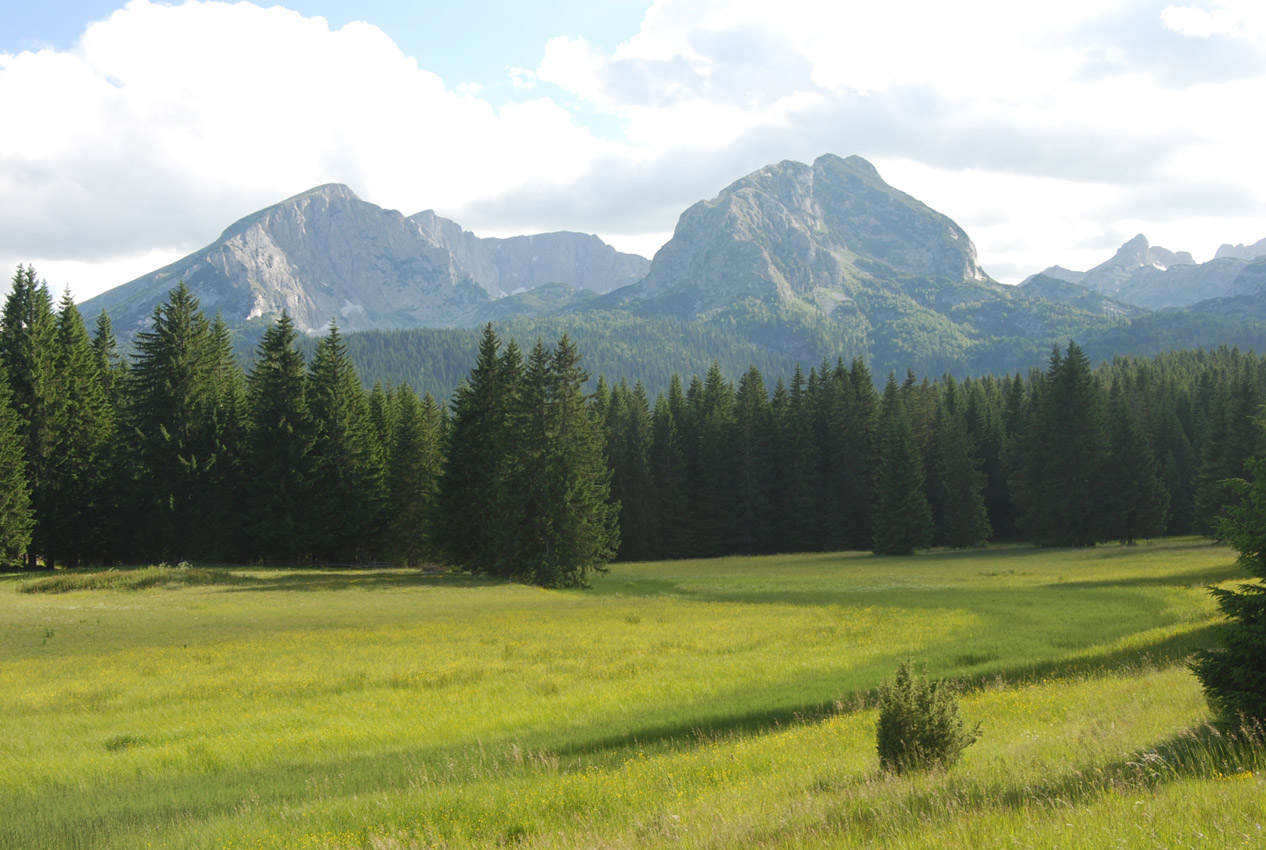 Дурмитор, image of landscape/habitat.