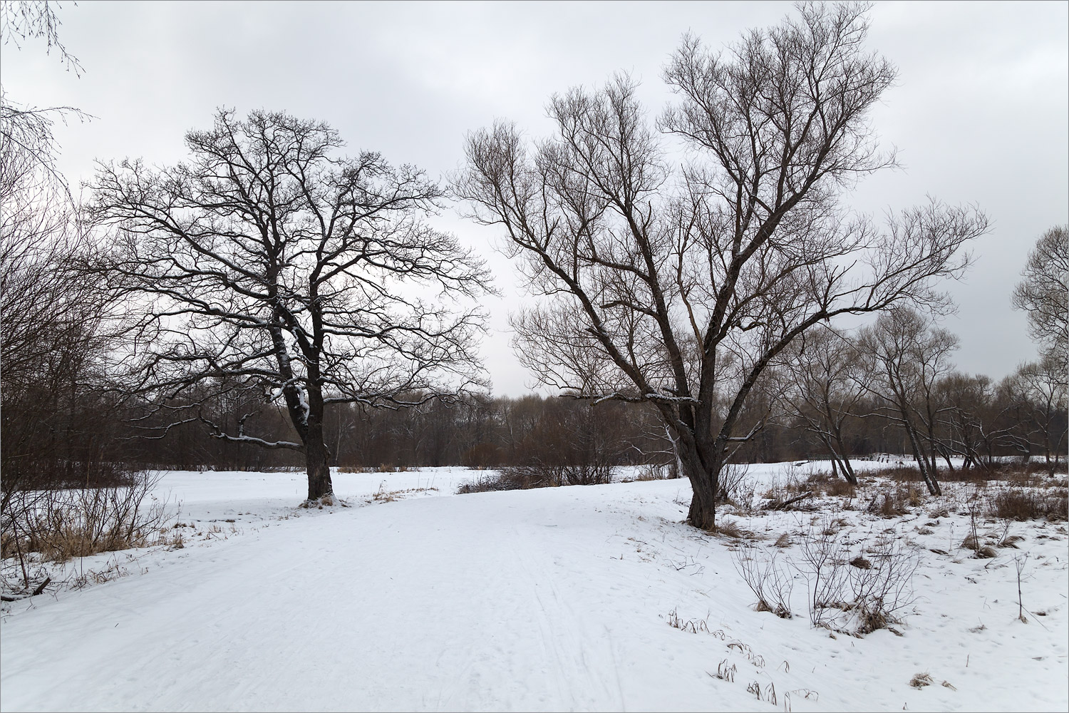 Луговой парк, image of landscape/habitat.