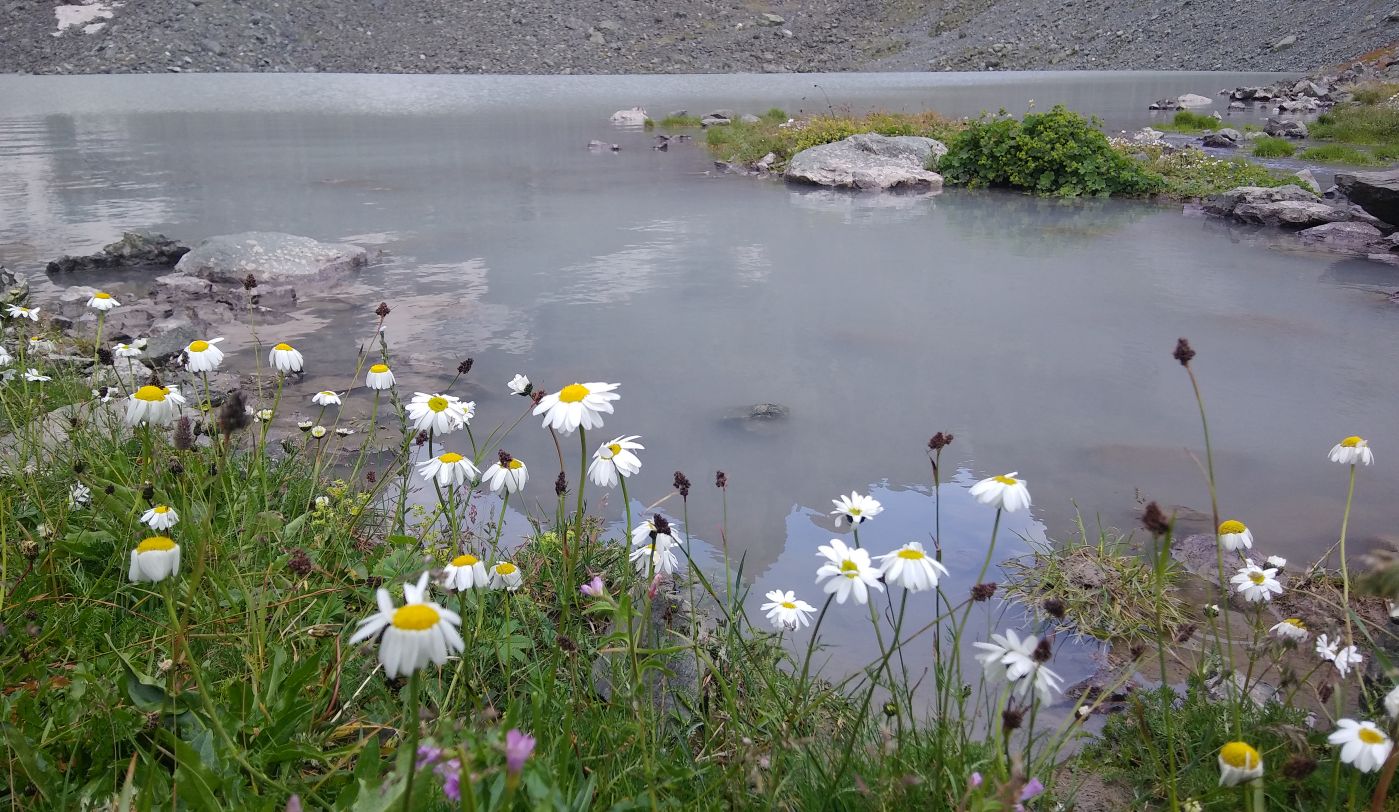 Окрестности озера Абуделаури, image of landscape/habitat.