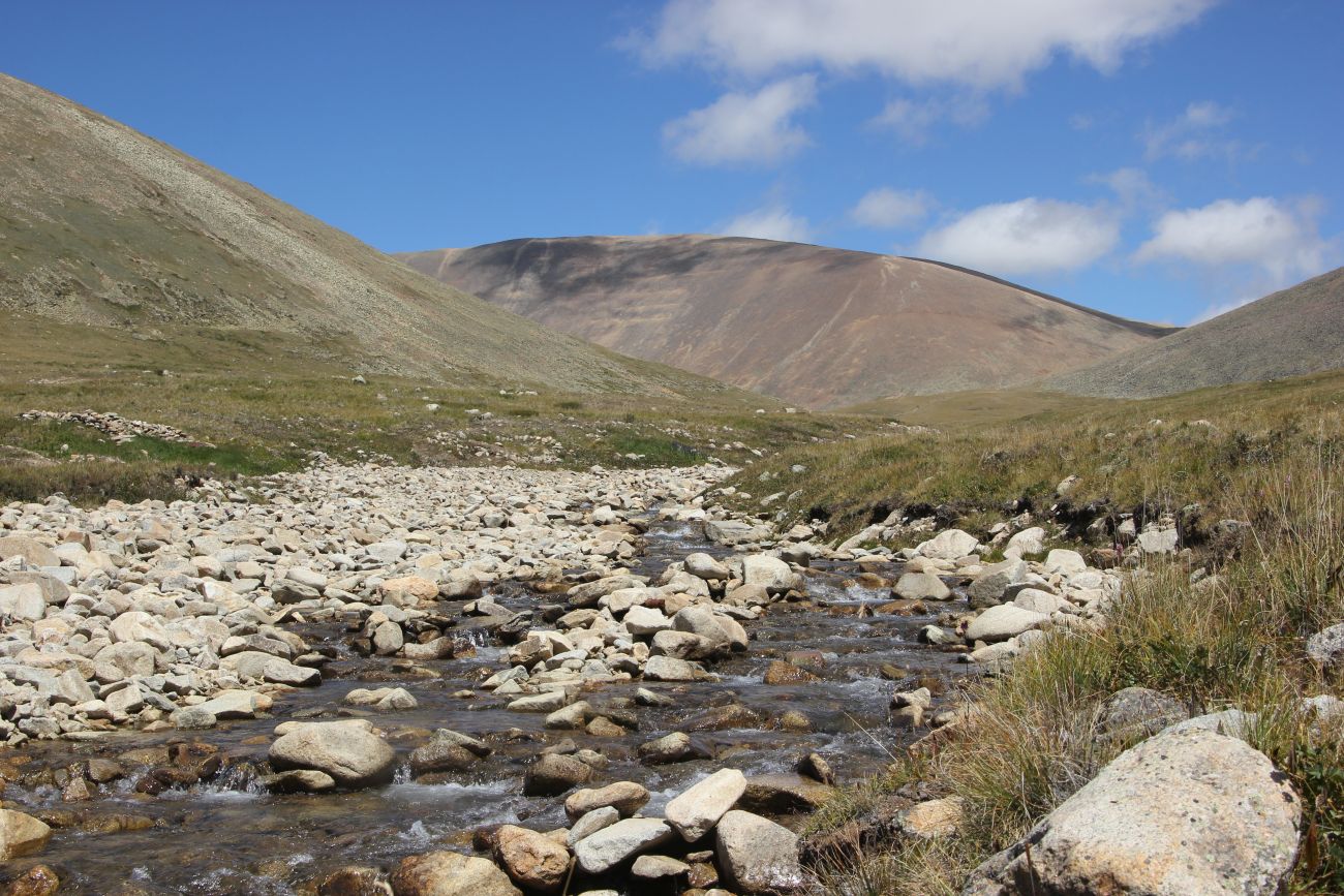 Верховья р. Калгуты, image of landscape/habitat.