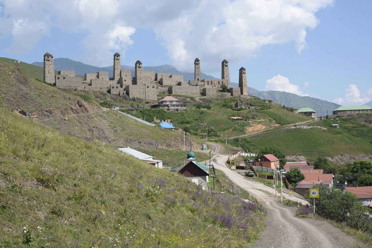 Шарой, image of landscape/habitat.