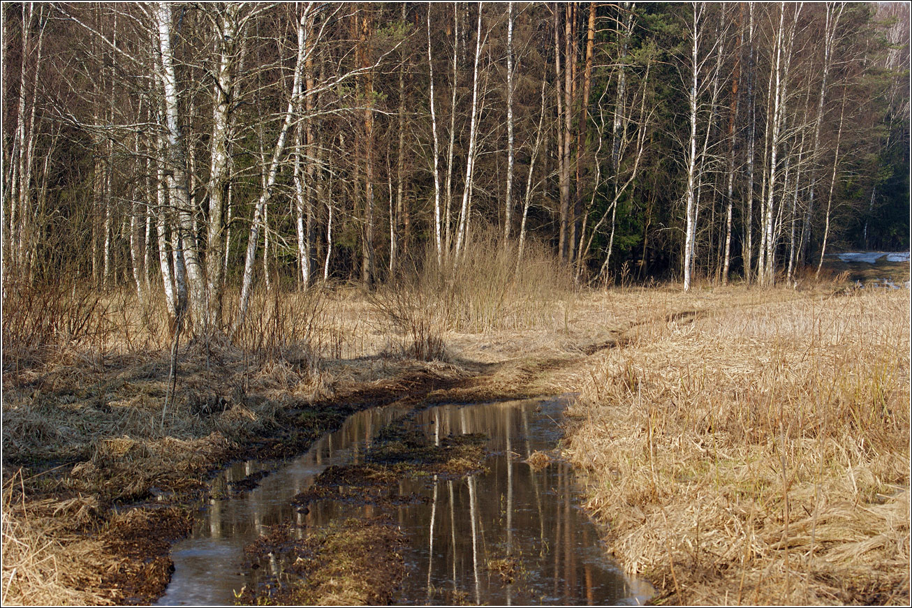 Окрестности Хрипани, image of landscape/habitat.