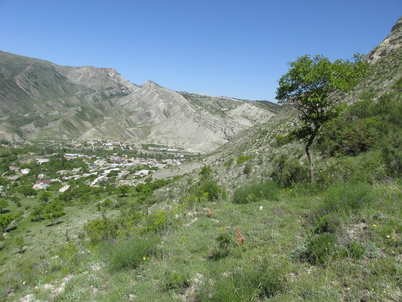 Цудахар, image of landscape/habitat.