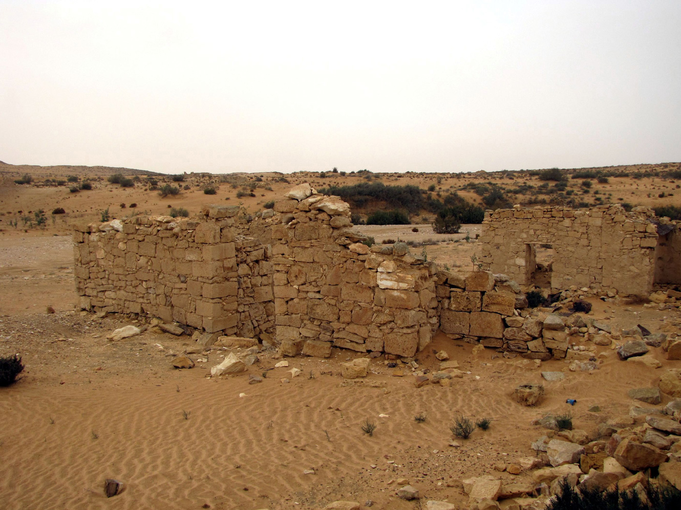 Пески Халуца (Холёт Халюца), image of landscape/habitat.