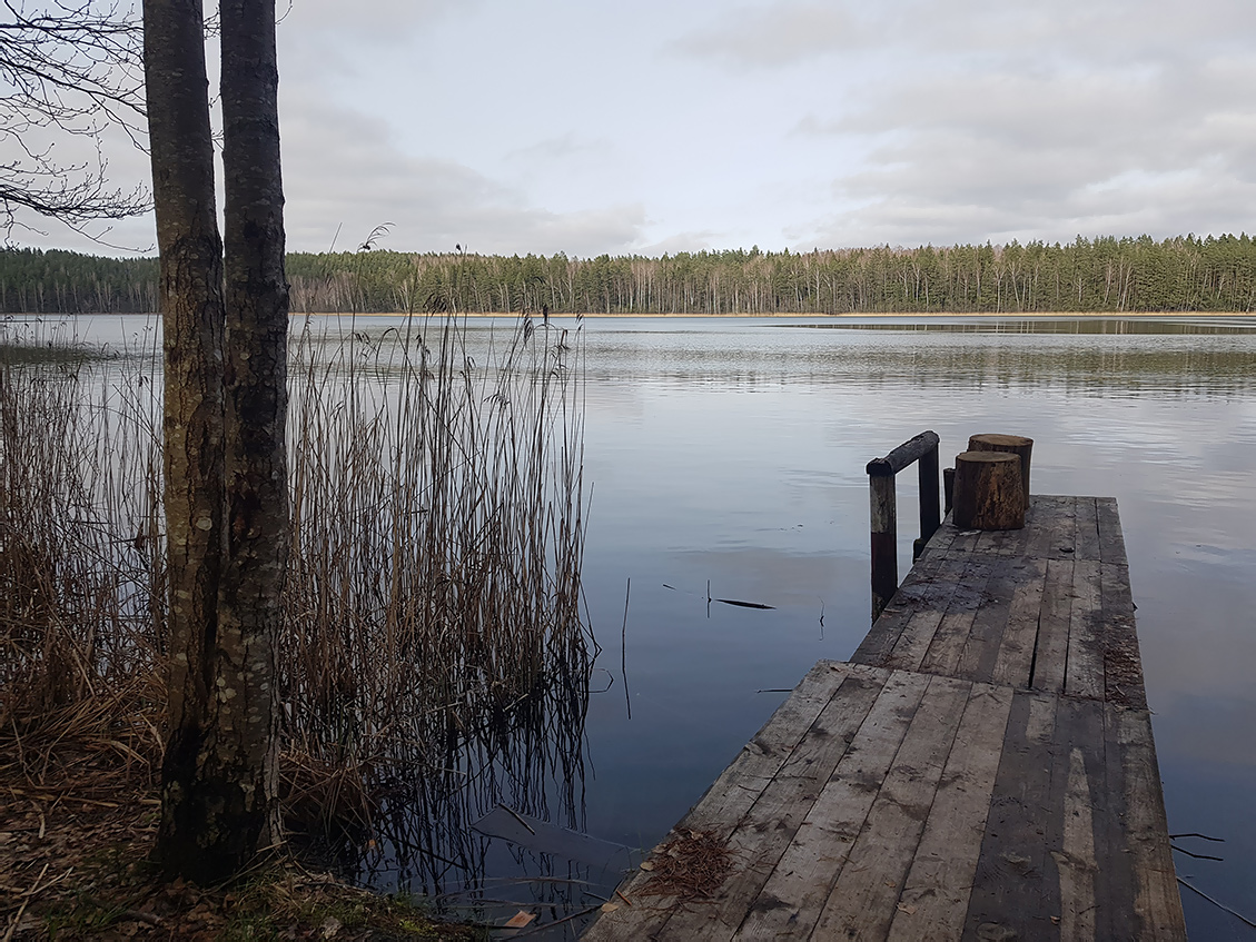 Заказник "Голубые озёра", image of landscape/habitat.