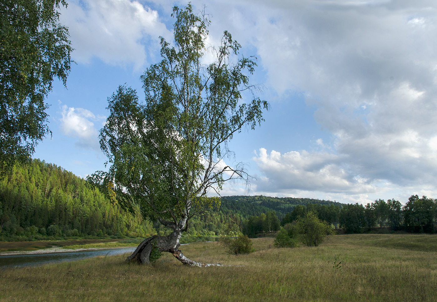 Саргая и окрестности, image of landscape/habitat.