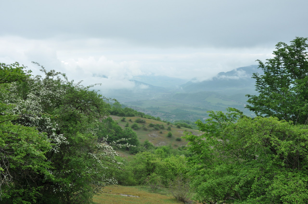 Окрестности села Колатак, image of landscape/habitat.