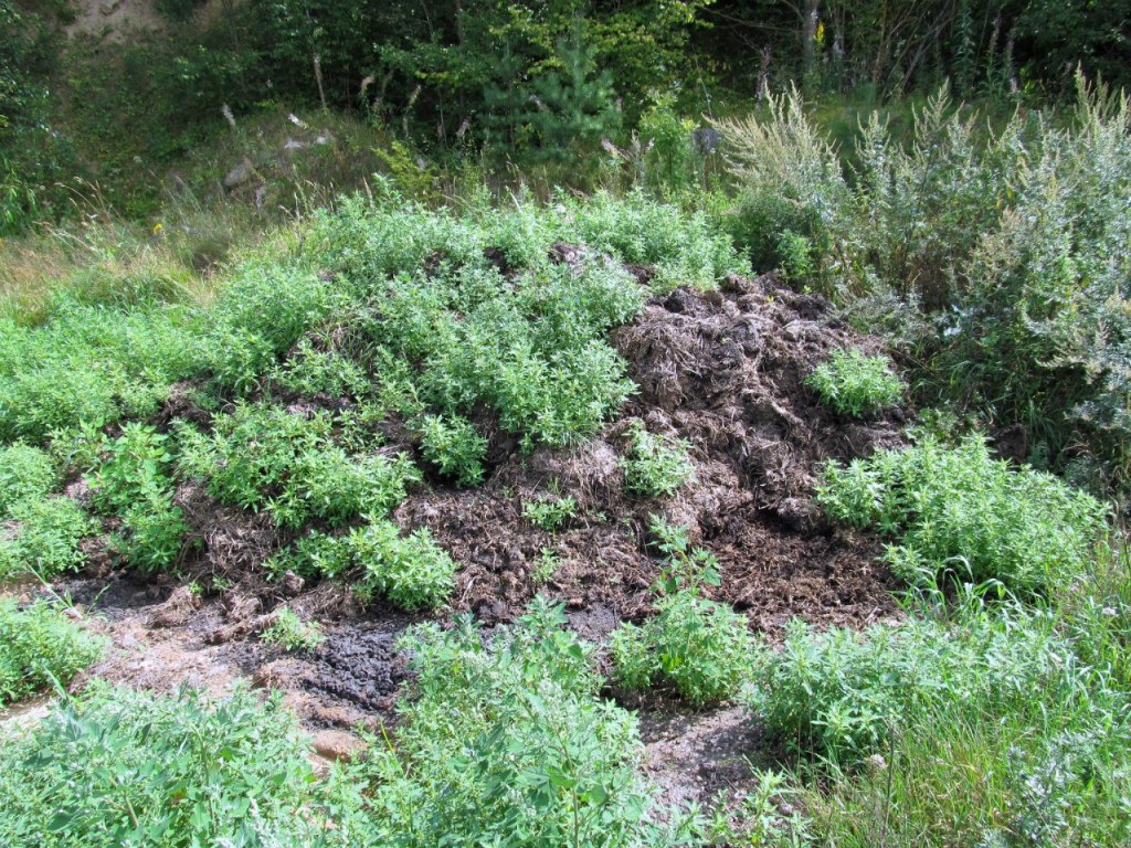 Песчаный карьер "Рутковское", image of landscape/habitat.