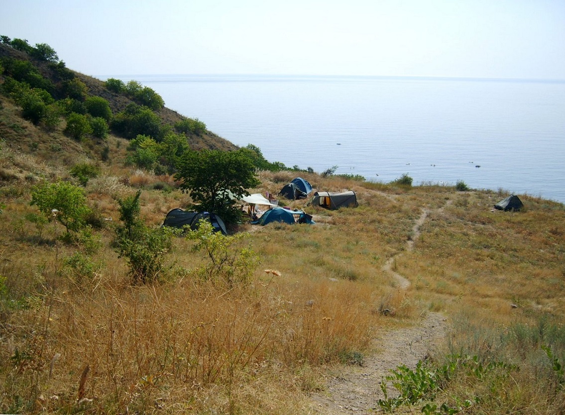 Малореченское и окрестности, image of landscape/habitat.