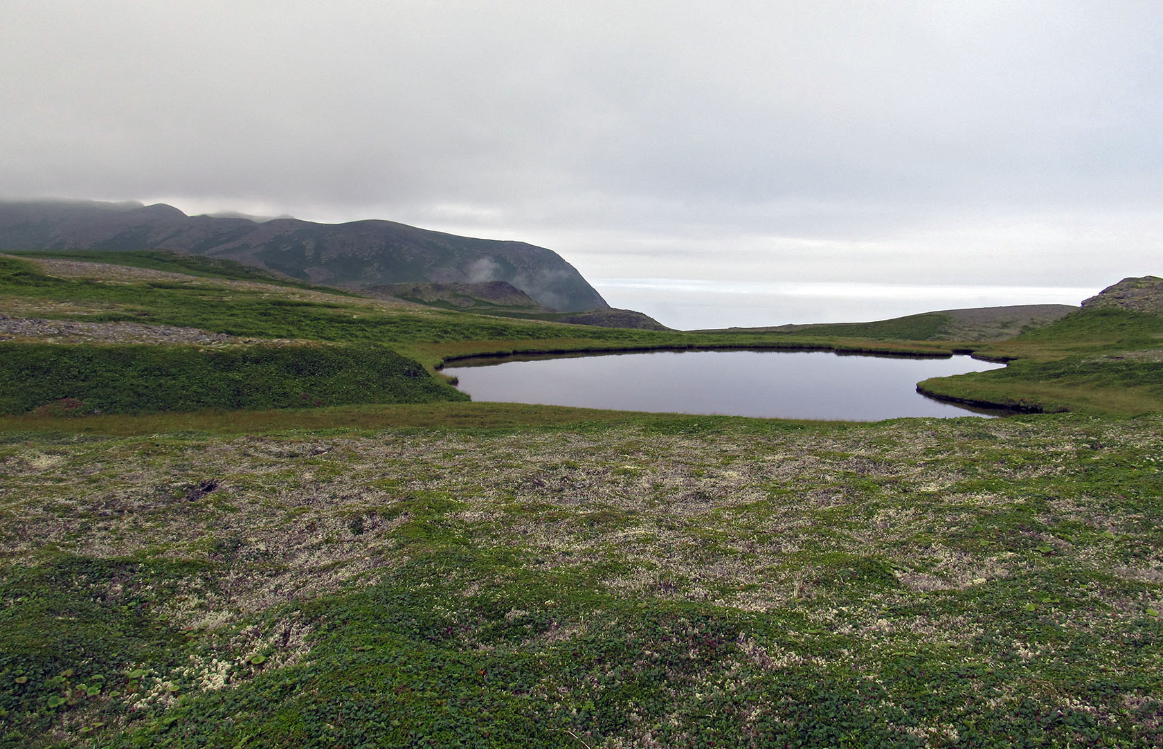 Остров Медный, image of landscape/habitat.