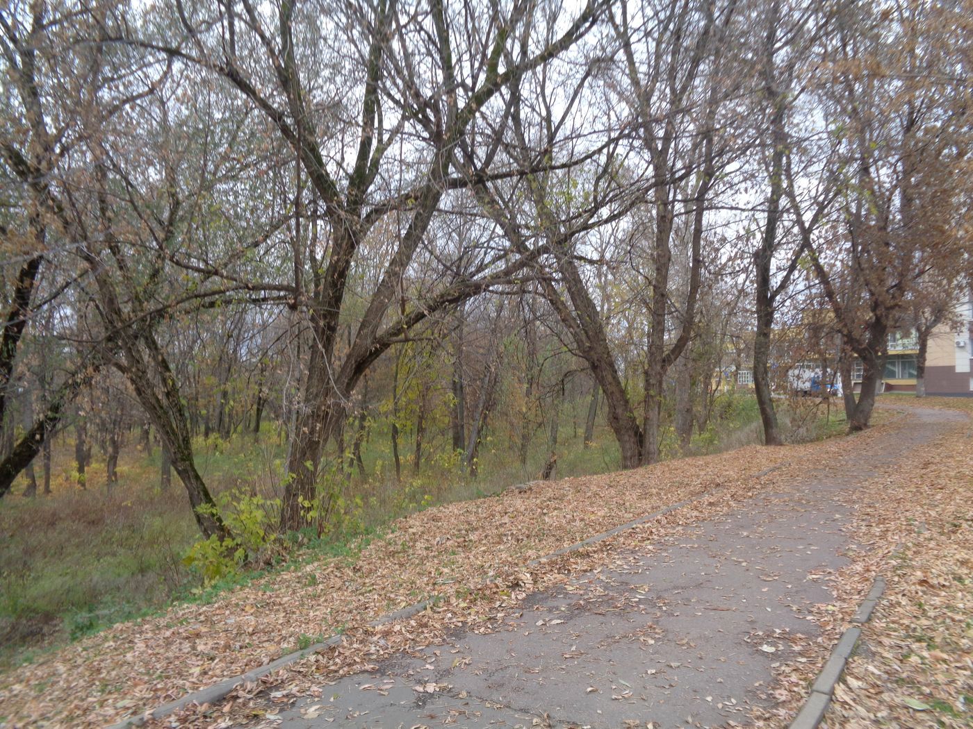 Низовья Тьмаки, image of landscape/habitat.